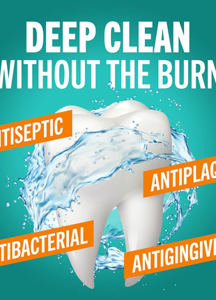 TheraBreath Deep Clean Mouthwash, Antiseptic Benefits, Fresh Mint Flavor, Dentist Formulated, Alcohol Free, 16 fl oz (Pack of 2)