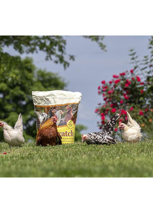 Manna Pro Ultimate Chicken Scratch Feed, Nutrient-Rich Scratch Grain Treat for Chickens and Poultry, Natural Multigrain Blend for Backyard Flocks and Laying Hens, Made in USA, 10 lb Bag
