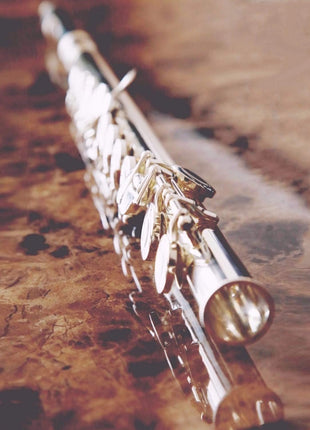 EastRock Closed Hole Flutes C 16 Key for Beginner, Kids, Student Silver Nickel Flute with Case Stand and Cleaning kit