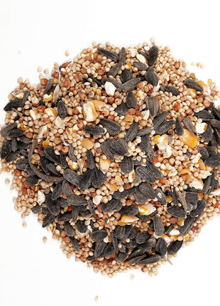 Wagner's 52003 Classic Blend Wild Bird Food, 6-Pound Bag