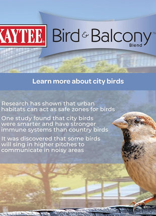 Kaytee Bird & Balcony Wild Bird Food No Mess Seed Blend for City Dwelling Birds Like Finches, Sparrows, Mourning Doves and More, 5 lb