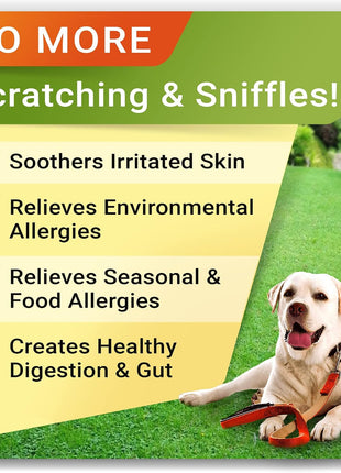 Allergy Relief + Hemp + Glucosamine Dogs Bundle - Itchy Skin Treatment + Hip Joint Pain Relief - Omega3 & Pumpkin + Chondroitin, MSM - Allergy Supplement + Advanced Mobility Hemp - 240ct - Made in USA