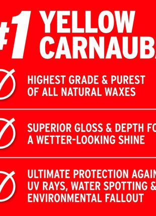 Mothers California Gold Brazilian Carnauba Cleaner Wax, 16 oz. (05701)