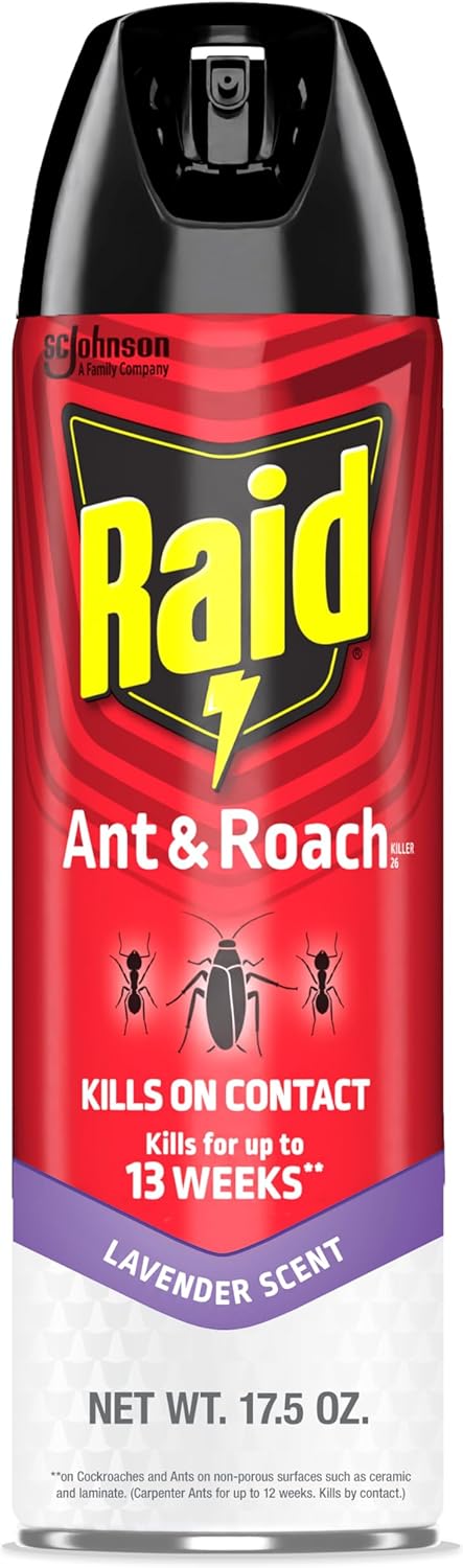 Raid Ant & Roach Killer Aerosol Spray Kills on Contact Keeps Killing for up to 13 Weeks Lavender Scent 17.5 Ounce (Pack of 1)