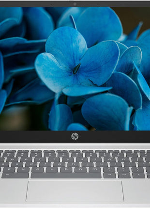 HP 2025 Lightweight Chromebook, 14'' HD IPS Display, Intel N Processor Up to 3.69GHz, 4GB LPDDR5 Ram, 128GB SSD, Super-Fast 6th Gen WiFi, Chrome OS, Dale Silver (Renewed)