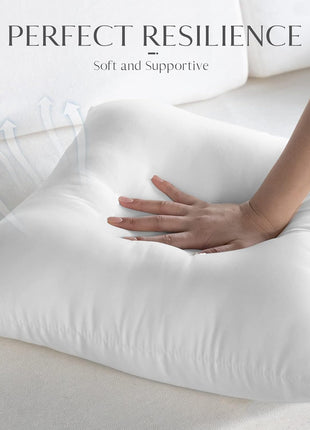 Ashler Outdoor Pillows, 18 x 18 Pillow Inserts Set of 4, Waterproof Throw Pillow Inserts Hypoallergenic for Patio, Water Resistant Indoor Outdoor Decorative