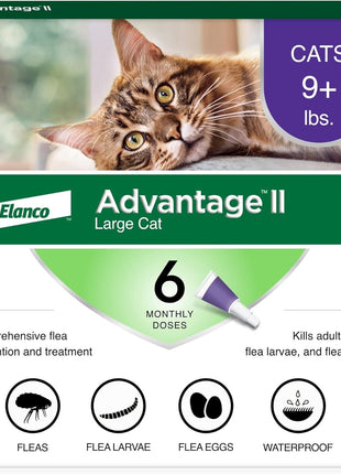 Advantage II Large Cat Vet-Recommended Flea Treatment & Prevention | Cats Over 9 lbs. | 6-Month Supply