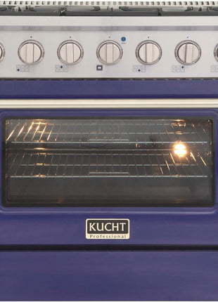36 in. 5.2 cu. ft. Natural Gas Range with Sealed Burners and Convection Oven in Stainless Steel with Blue Oven Door