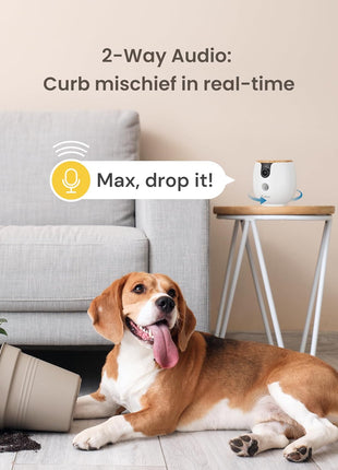 Furbo Mini 360° 2K QHD Pet Camera: Basic See, Talk & Toss Features, No AI Alerts, No Subscription Required, Dog & Cat Rotating Treat Dispenser w/Phone App, Smart Indoor Cam, 2-Way Audio & Night Vision