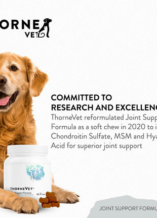 Liver Support Formula, Canine Basic Nutrients and Joint Support Formula Soft Chews Bundle