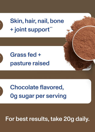 Vital Proteins Grass Fed Collagen Powder, Chocolate, 17.1 oz | Type I & III Collagen, Supports Hair Skin Nails & Joints, Hydrolyzed Collagen, Chocolate Flavor, 18 Servings
