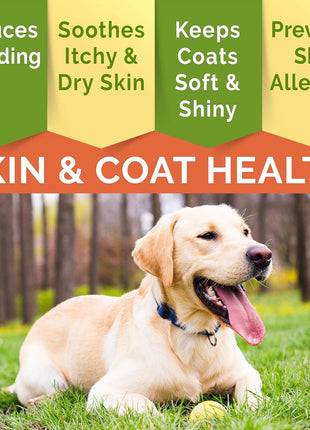 Hemp + Glucosamine + Fish Oil Omega for Dogs 3 Bundle - Hip & Joint Supplement + Allergy Relief - w/Hemp Oil Chondroitin MSM Turmeric + EPA & DHA Fatty Acids - 240 Chews - Made in USA