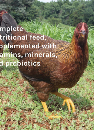 New Country Organics | Corn-Free Classic Layer Chicken Feed for Laying Hens | Corn-Free and Soy-Free | 17% Protein | Certified Organic and Non-GMO Chicken Food | 25lbs Bag