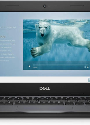 Dell Chromebook 11 3100 11.6 inch Chromebook - 1366 x 768 - Celeron N4020-4 GB RAM - 16 GB Flash Memory - Chrome OS - Intel HD Graphics - English (US) Keyboard - Bluetooth (Renewed)