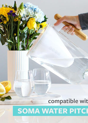Soma by Full Circle Water Pitcher Filters (Pack of 2)