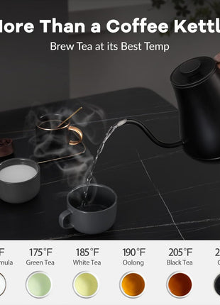Mecity Electric Kettle Gooseneck Pour Over Kettle ±1°F Temperature Control Quick Heating Water Boiler for Coffee & Tea & Formula Auto Shut Off Tea Kettle 1200 Watt, 0.8L, Matt Black, Barista Edition