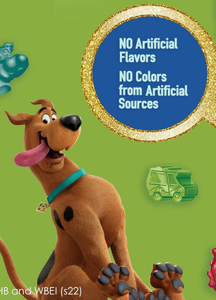 Scooby Doo Fruit Flavored Snacks, Gluten Free, Kids Snacks, Value Pack, 22 Ct, 17.6 oz