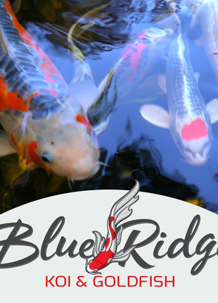 Blue Ridge Koi Fish Food 5lb - Koi Food Mini Growth Formula, Goldfish Food, Premium Fish Food for Ponds, Ponds Fish Food, Floating Pond Pellets