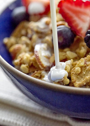 Catalina Crunch Protein Granola - Low Sugar Breakfast Cereal with 13g of Protein - Gluten Free, Keto Friendly - Vanilla Almond - 8 oz. Bag (Pack of 1)