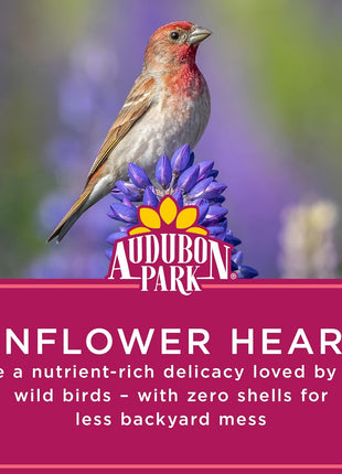 Audubon Park Sunflower Hearts Wild Bird Seed for Outside Feeders, 15-lb. Bag
