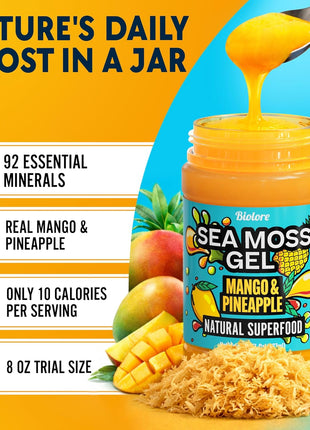Biolore Sea Moss Gel Mango-Pineapple Made in USA Raw Wildcrafted Irish Seamoss Essential Vitamins Trace Minerals Vegan Superfood, Jam, Jelly & Sweet Spread Gifts (Mango-Pineapple 8OZ)
