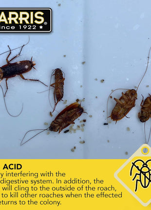 HARRIS Boric Acid Roach and Silverfish Killer Powder w/Lure for Insects (16oz)