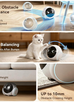 Vivideye Pet Camera 1080P, Movable Robot Security Camera for Dog Cat, Rolling Robot Indoor Camera with Talk,Battery-Operated, Auto-Recharge, Night Vision,SD/Cloud Storage, Pet/Human/Voice Detection