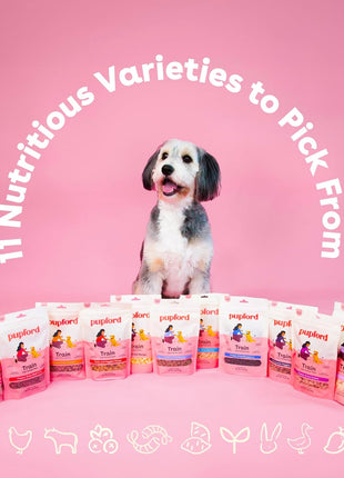 Pupford Freeze Dried Training Treats for Dogs & Puppies, 475+ Three Ingredient Bites (Beef Liver, 4 oz)