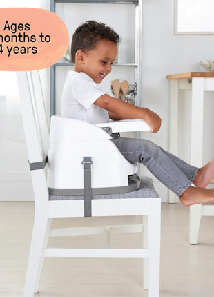 Ingenuity Baby Base 2-in-1 Booster Feeding and Floor Seat with Self-Storing Tray - Slate