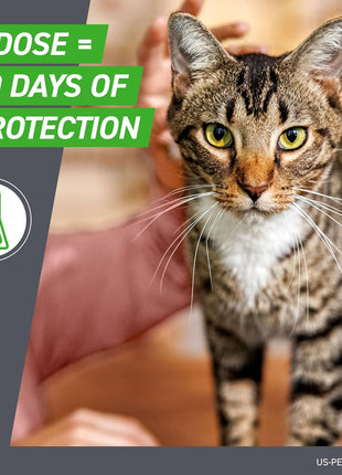 FRONTLINE Plus Flea and Tick Treatment for Cats Over 1.5 lbs. 3 Treatments