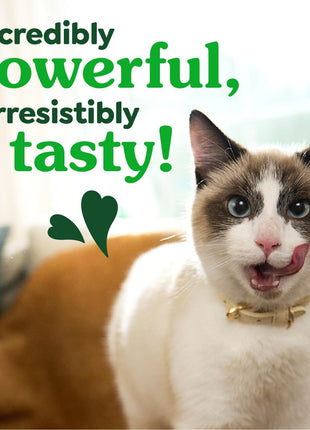 Greenies Cat Treats, Feline Veterinarian-Recommended Adult Natural Dental Treats, Catnip Flavor, 9.75 oz. Tub