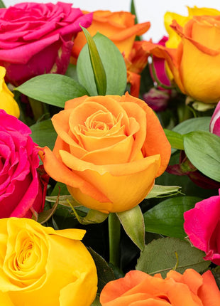 Benchmark Bouquets - Roses Bouquet Assorted Colors - Fresh Flowers for Delivery - Two Dozen Long Stem Roses - Live Flowers - Gift Roses in a Box - Birthday Flowers for Women (Glass Vase Included)