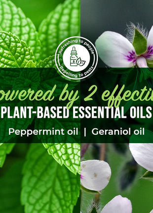 Mighty Mint Peppermint Oil Spider Repellent Spray – Indoor & Outdoor Bug Control for Spiders and Insects – Plant-Based, Extra-Strong Formula - 16 oz