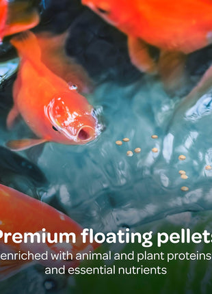 Kaytee Koi's Choice Koi Floating Fish Food, For Koi, Goldfish and Pond Fish, 10 pounds