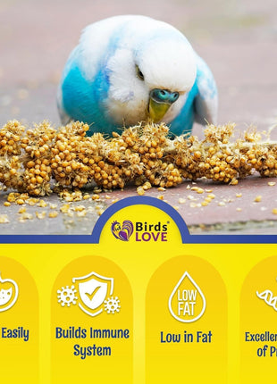 Birds LOVE Millet Tips & Tails for Birds - Parakeets, Cockatiels, Lovebirds, Finches, Budgies, Canaries, Cockatoos - Natural & Healthy Millet for Birds - Parakeet Food & Treats for All Parrots, 1lb