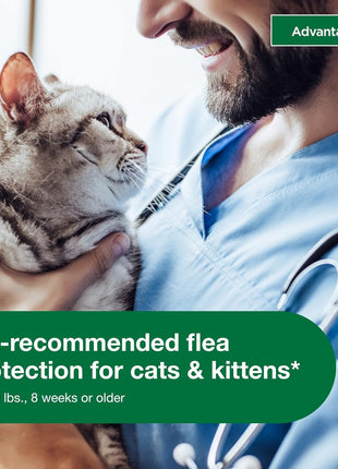 Advantage II Large Cat Vet-Recommended Flea Treatment & Prevention | Cats Over 9 lbs. | 6-Month Supply