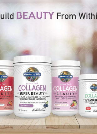 Garden of Life Grass Fed Collagen Powder, Blueberry Acai, 30 Servings | 10g Collagen Protein, Type 1 & 3, Plus Vitamin C