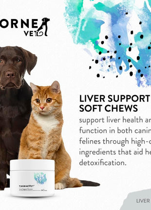 Liver Support Formula, Canine Basic Nutrients and Joint Support Formula Soft Chews Bundle