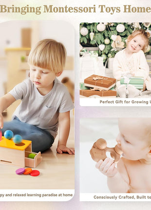 Montessori Toys for Babies 6-12 Months 6 in 1 Learning Educational Toys Set Wooden Toys Play Kit Includes Object Permanence Box, Touch & Match Board, Sensory Ball & Treasure Basket, Soft Baby Book