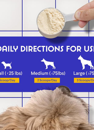 100% Norwegian Salmon Oil Plus Mushroom Complex Powder - for Dog's Skin, Coat & Immune Health – Salmon Oil 32 Ounces – Mushroom Complex 90 Scoops