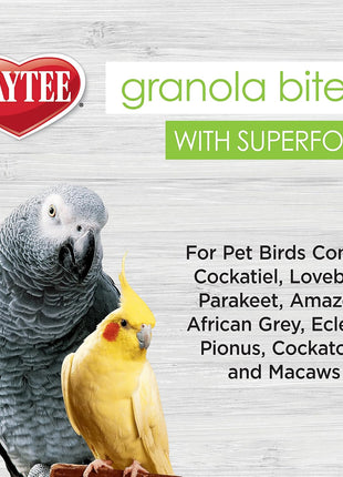 Kaytee Granola Bites with Super Foods Spinach and Kale for Pet Birds, Conure, Cockatiel, Lovebird, Parakeet, Amazon, African Grey, Ecletus, Pionus, Cockatoos and Macaws, 4.50 Ounce (Pack of 1)