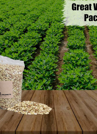 Old Potters Wildlife Shelled Peanuts, 10 lbs for Birds, Squirrels, and Wildlife. USA Grown Non-GMO, Organic Small Farm, Raw Shelled Peanuts. Wildlife Grade.
