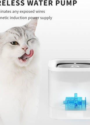 PETKIT Autoamtic Camera Pet Feeder for Cats and Dogs, 1080P HD AI-Powered Camera with Wide Angle and Night Vison, 2-Way Audio, Ultra Quiet 1.85L Cat Water Fountain, App Control