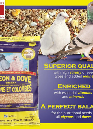 Hagen Pigeon & Dove Seed, Original Formula Bird Food, 6 lb Bag 芒聙聯 Nutritionally Complete Seed Mix with Vitamins & Minerals 芒聙聯 Wild & Captive Bird Diet 芒聙聯 Insect-Resistant Air-Tight Packaging
