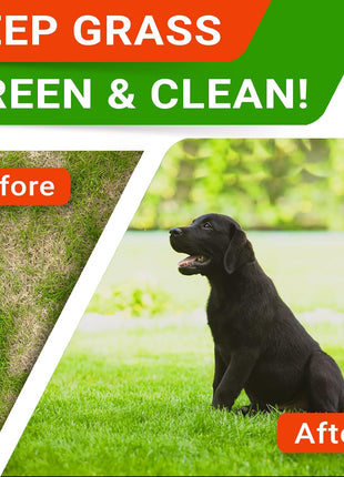 Glucosamine Treats + Grass Burn Spot Chews for Dogs Bundle - Joint Supplement w/Omega-3 Fish Oil + Dog Urine Neutralizer for Lawn - Chondroitin, MSM + DL-Methionine+Enzymes - 240 Chews - Made in USA