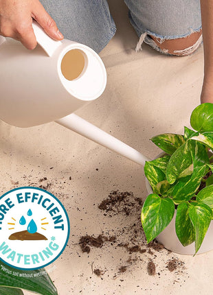 Back to the Roots 100% Organic Indoor Potting Mix (6 Quart), Promotes Healthy Houseplant Growth, Made in The USA