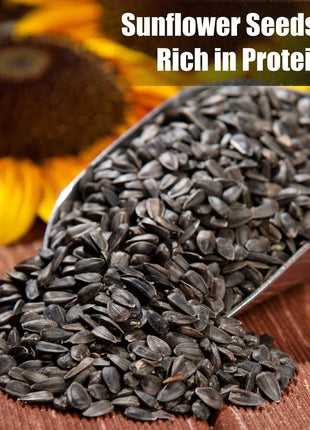Old Potters Wildlife Black Oil Sunflower Seeds for Birds and Wildlife, Non-GMO & USA Grown on Small Farms (12 lbs)