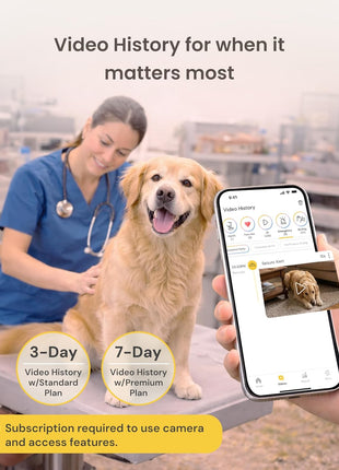 Furbo 360° Dog Camera + Mini [New Subscription Required at Setup] 2-Camera Bundle Nanny Subscription: Dog Safety & Home Security Alerts, Pet Camera with Speaker, Phone App & Night Vision
