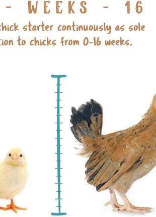 Manna Pro Chick Starter Feed, Non-Medicated Chicken Feed with Vitamins & Minerals, Complete Nutrition for Baby Chicks, 5 lb Bag | Complete Chick Feed Formula, Starter Feed with Vitamins & Minerals, Balanced Nutrition for Growing Baby Chicks
