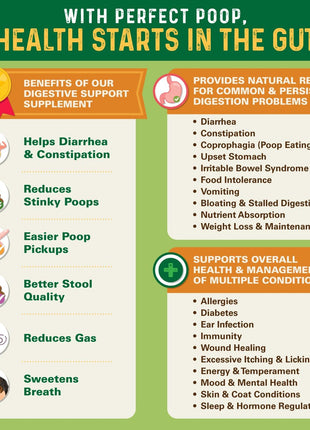 Perfect Poop Digestion & General Health Supplement for Dogs: Fiber, Prebiotics, Probiotics & Enzymes Relieve Digestive Conditions, Optimize Stool, and Improve Health (Cheddar Cheese, 12.8 oz)
